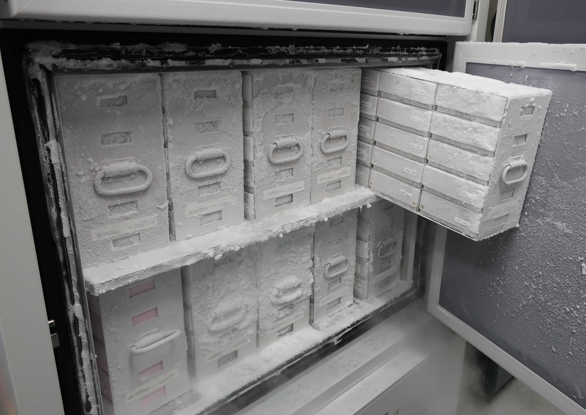 analysis-yeast