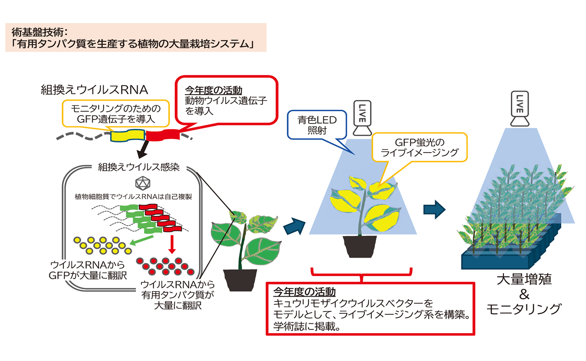 概念図