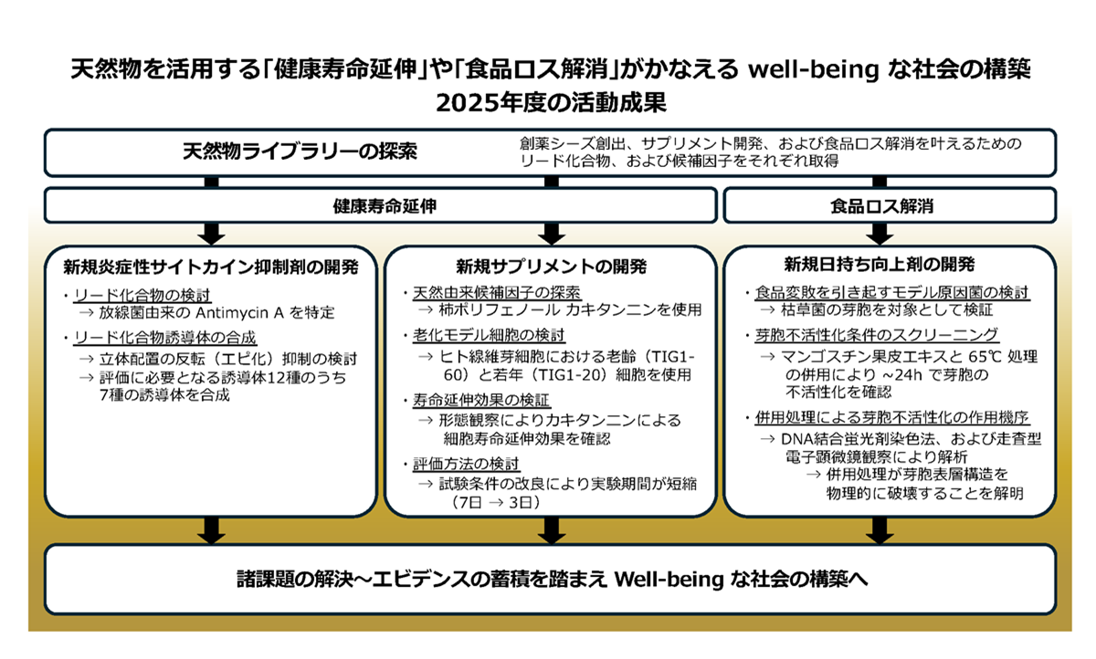 概念図