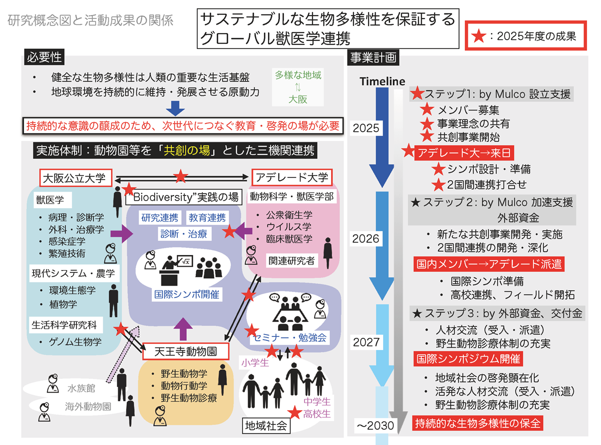 概念図