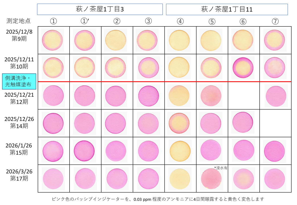 活動報告