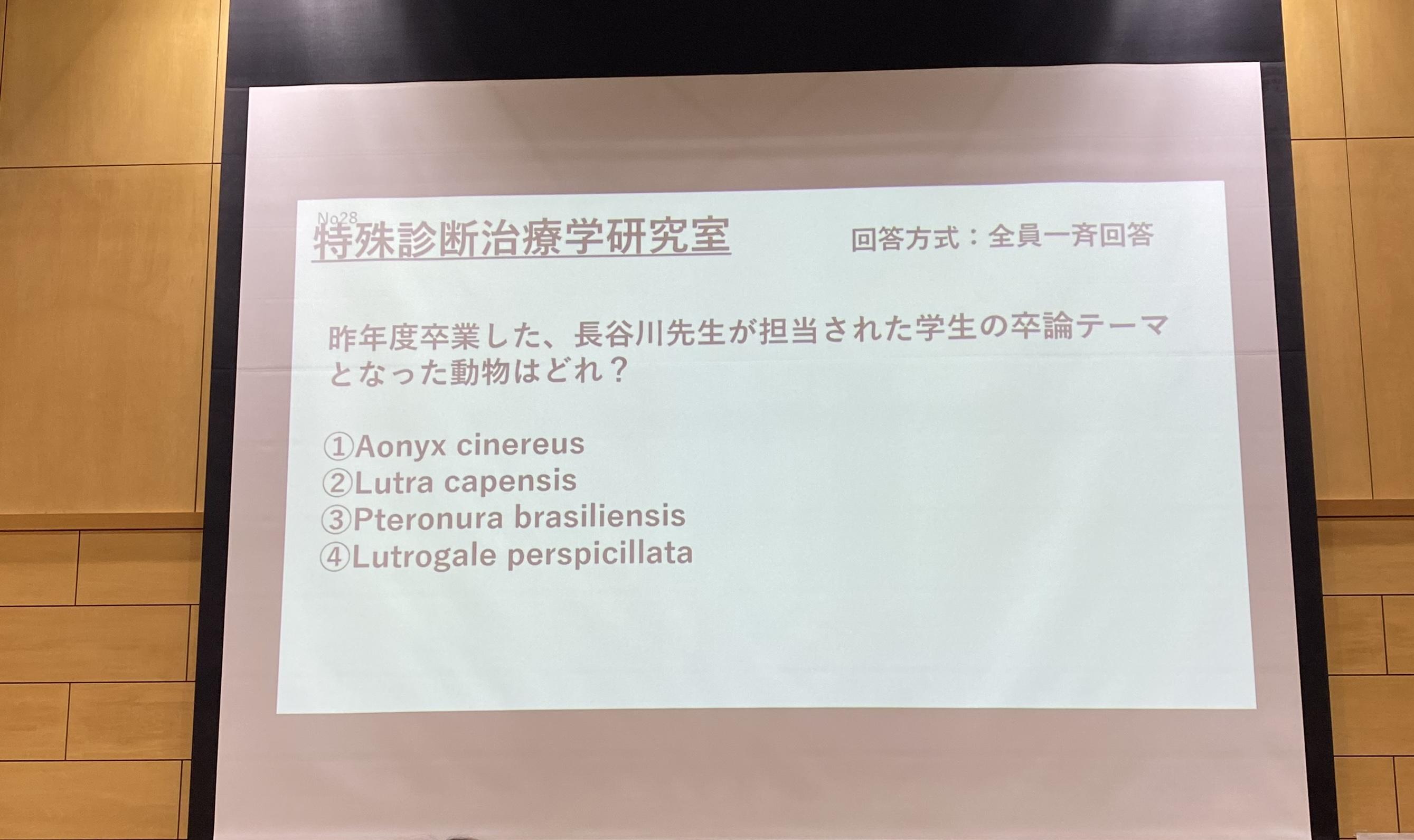クイズ３