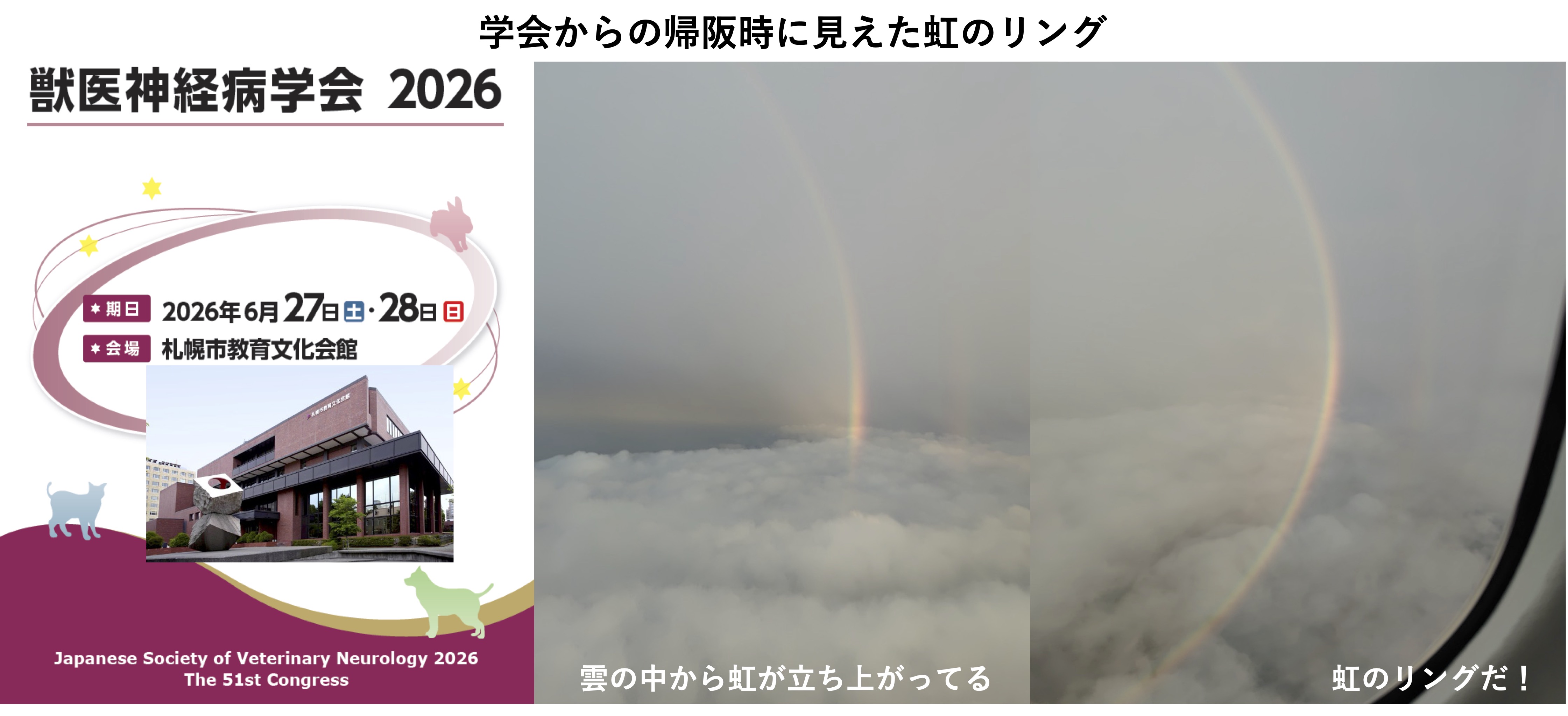 神経病学会