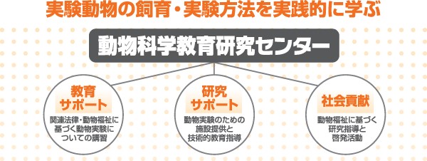fig_center1 (2)