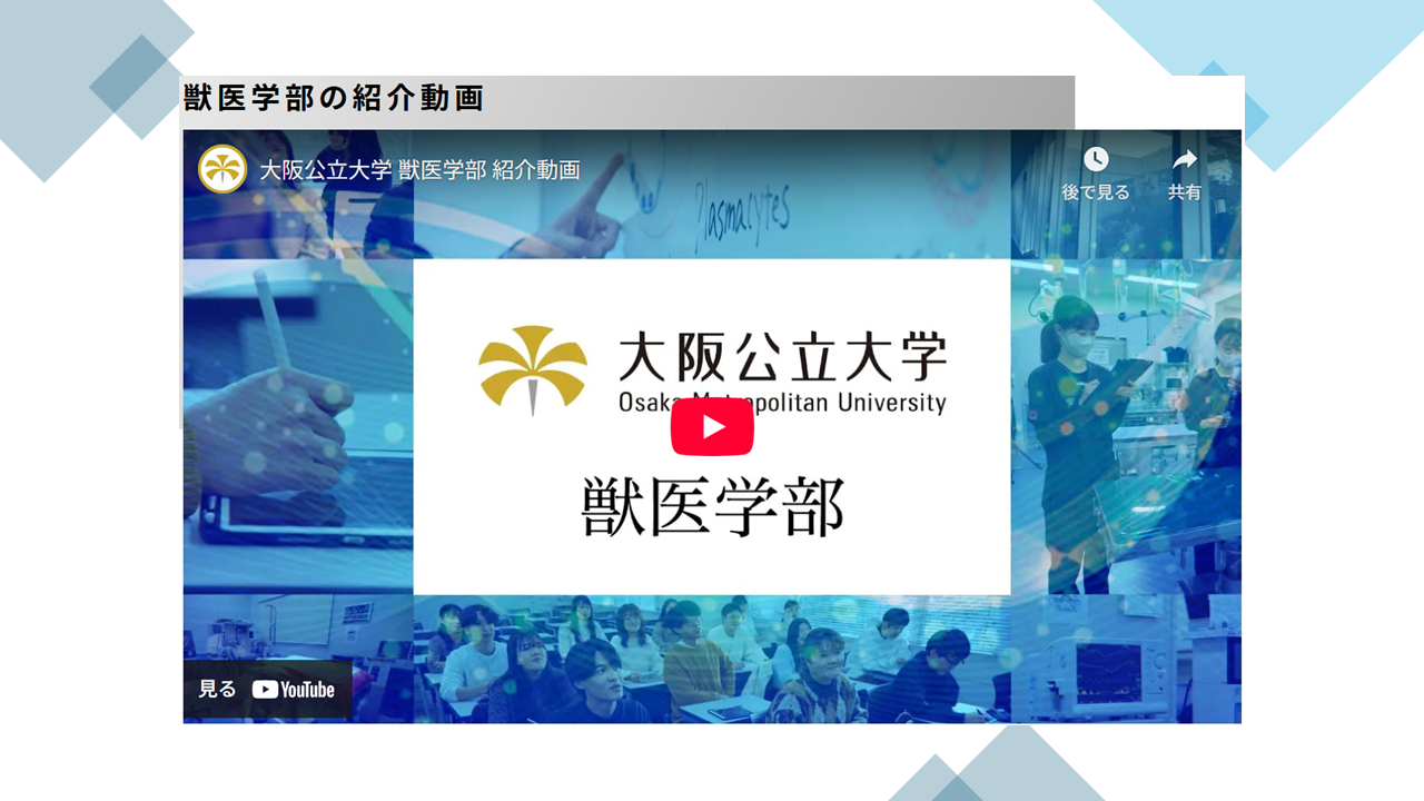 獣医学部の紹介動画