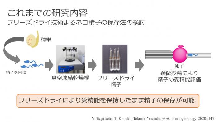 スライド3.JPG