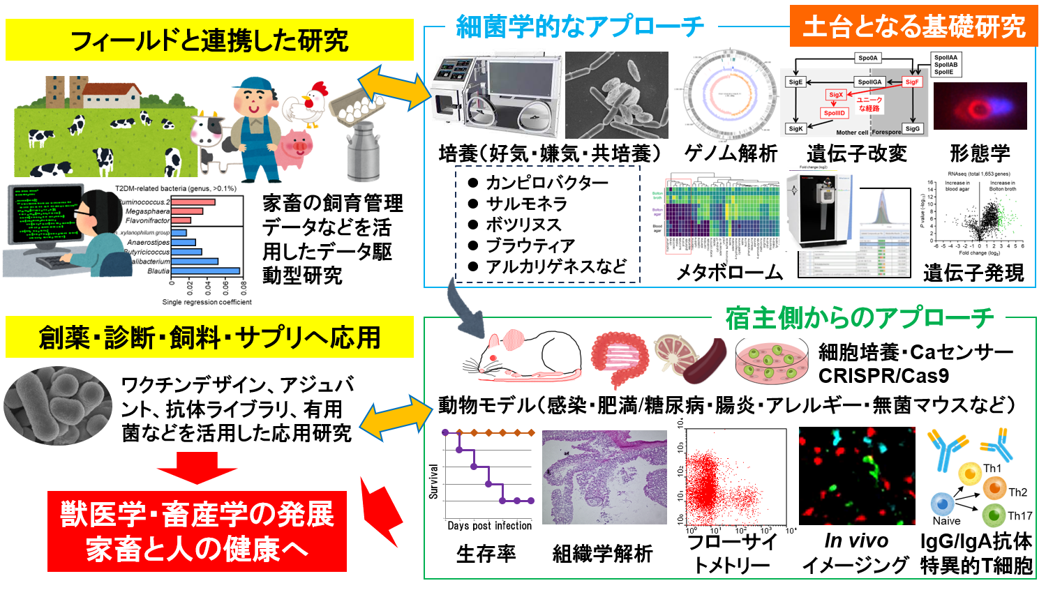 HP用研究概要