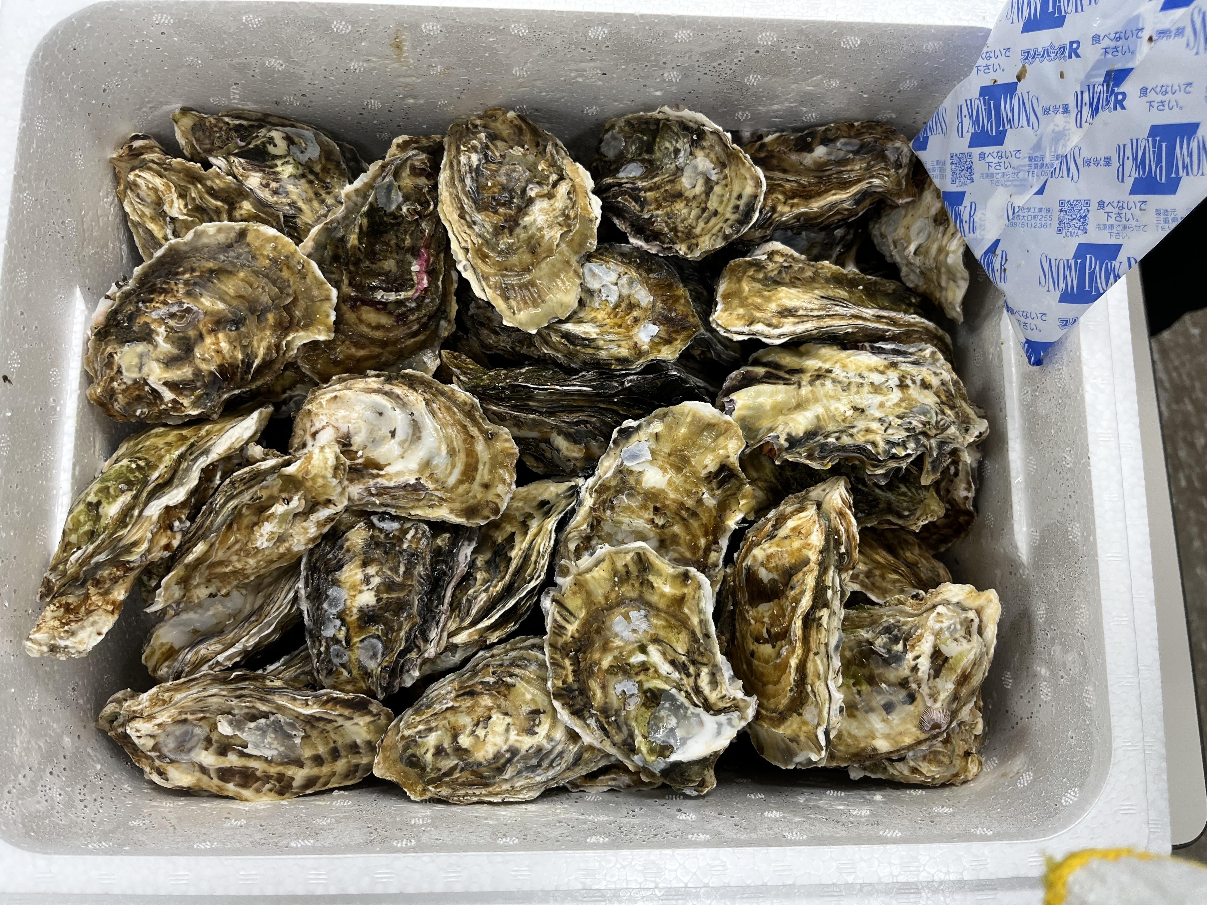 IMG_8291_牡蠣100個