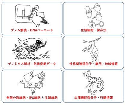 ポンチ絵
