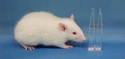 FD_rat