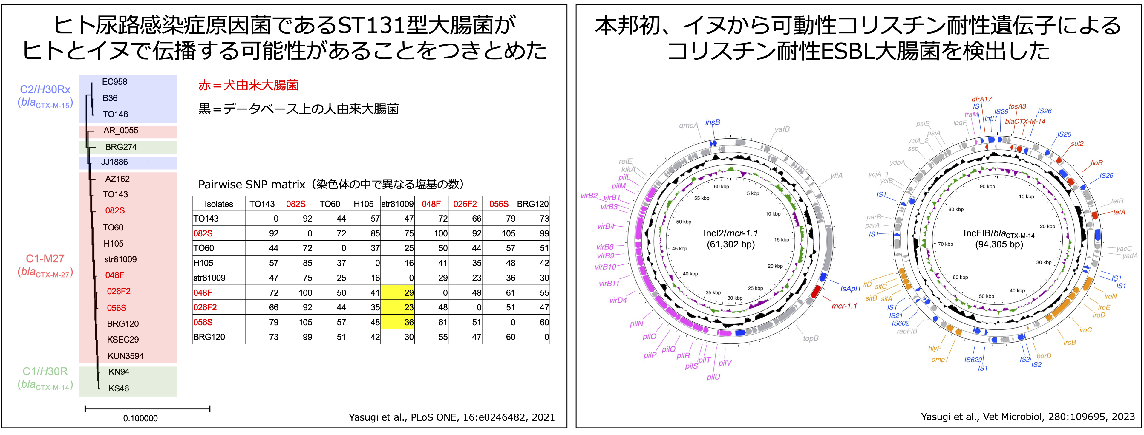 プレゼンテーション3