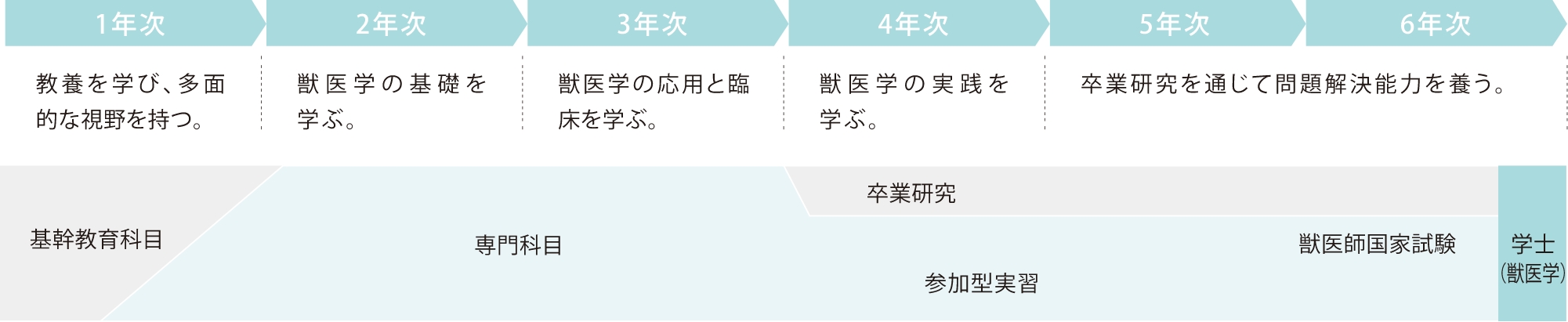 取得可能な免許・資格・受験資格