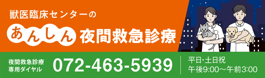 夜間救急診療_臨時