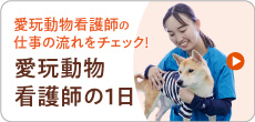 動物看護師の1日