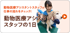 動物看護師の1日