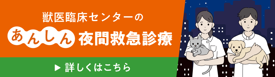 夜間救急診療