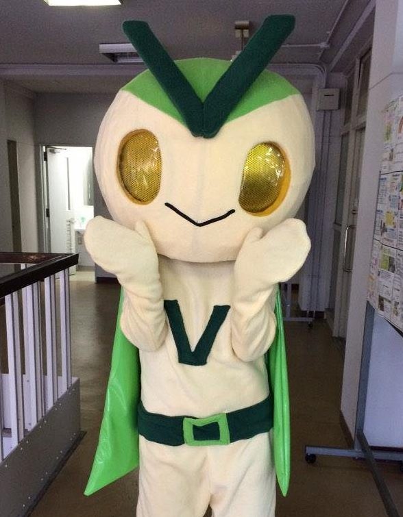 costume photo of V-Kamen